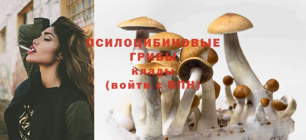 прущая мука Красноперекопск