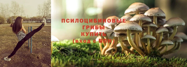 скорость mdpv Краснослободск