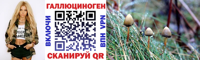 Галлюциногенные грибы мицелий  ссылка на мегу tor  Темников 